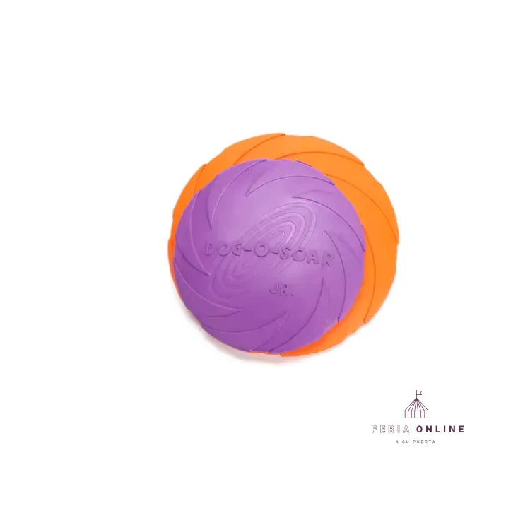 Frisbee Acuático