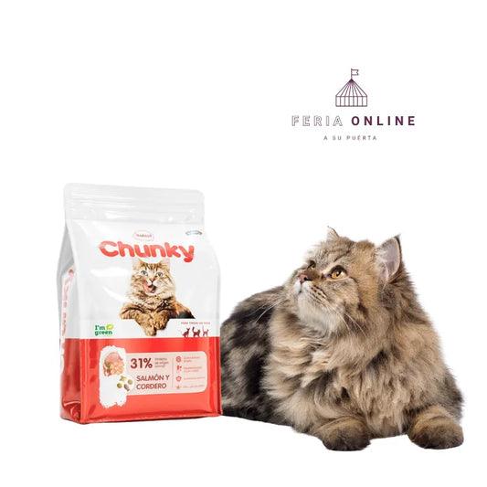 Chunky Concentrado Gatos Adultos Salmón y Cordero