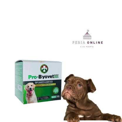 Pro- Byovet Dog