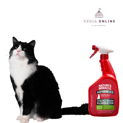 Nature Miracle Eliminador de Manchas y Olores para Gatos