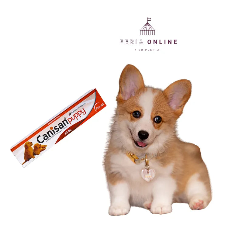 Canisan Puppy
