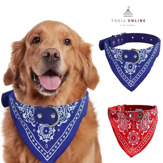 Collar con Pañoleta