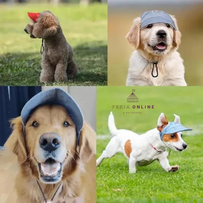 Gorra para Mascotas