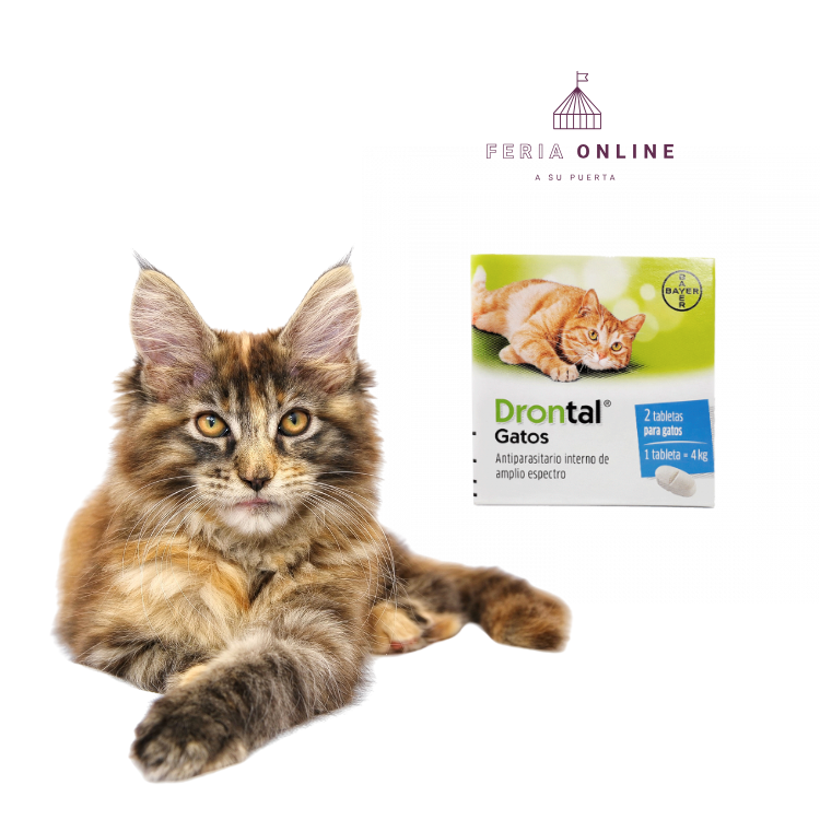 Antiparasitario Interno Drontal Ps Para Gatos En Tabletas