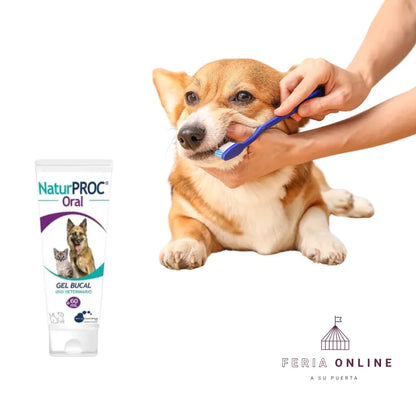 Naturproc Limpieza Dental Perros Y Gatos En Gel Sabor Miel 60 ML