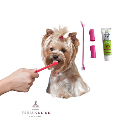 Kit Dental Para Mascotas