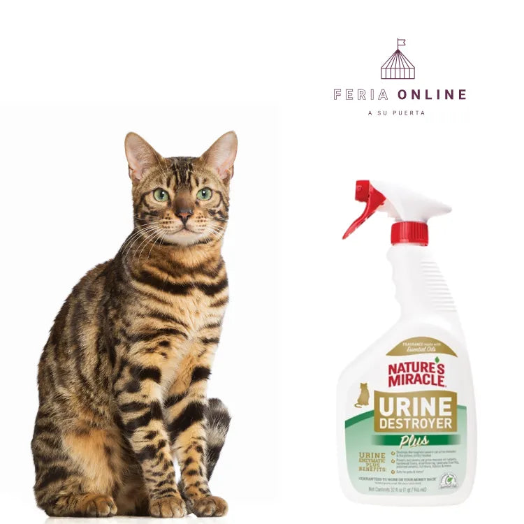 Nature Miracle Destructor de Orina Plus para Gato