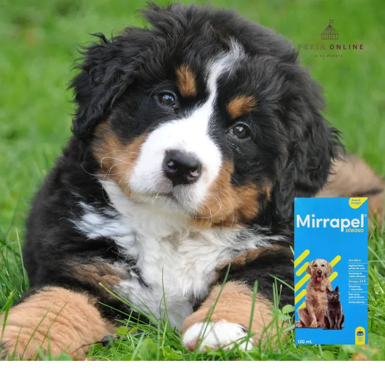Mirrapel Oleoso x 120ml.
