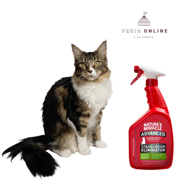 Nature Miracle Eliminador de Manchas y Olores para Gatos
