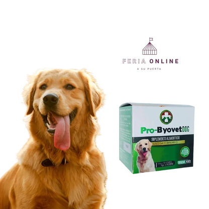 Pro- Byovet Dog