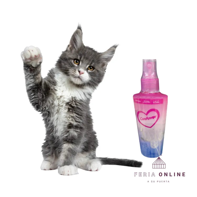 Perfume Para Gato CanAmor