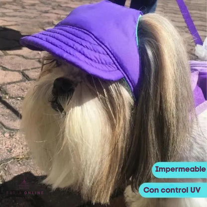 Gorra para Mascotas