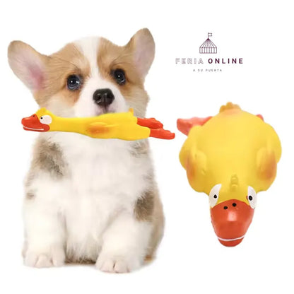 Pato Chillón 23CM