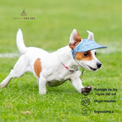 Gorra para Mascotas