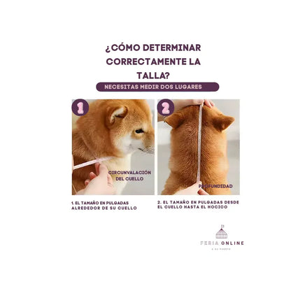 Collar Isabelino