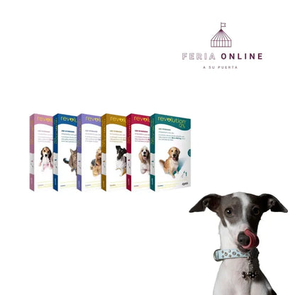 Desparasitante Revolution Selamectina para Perros