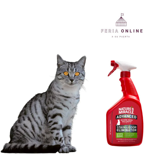Nature Miracle Eliminador de Manchas y Olores para Gatos