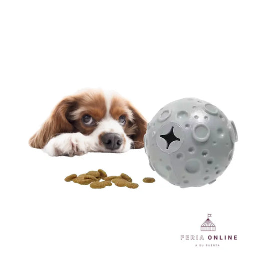 Pelota Luna TPR Premio
