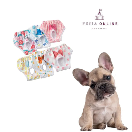 Pantis Para Mascotas
