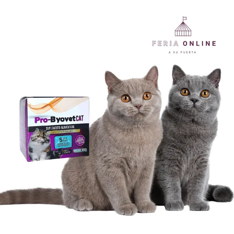 Pro- Byovet Cat