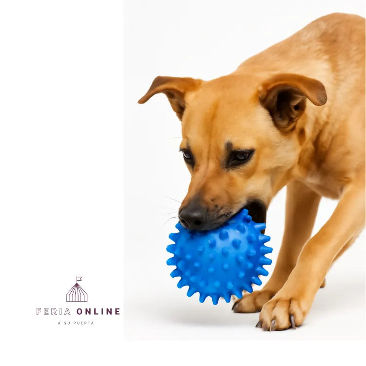 Pelota Chuzos Maciza