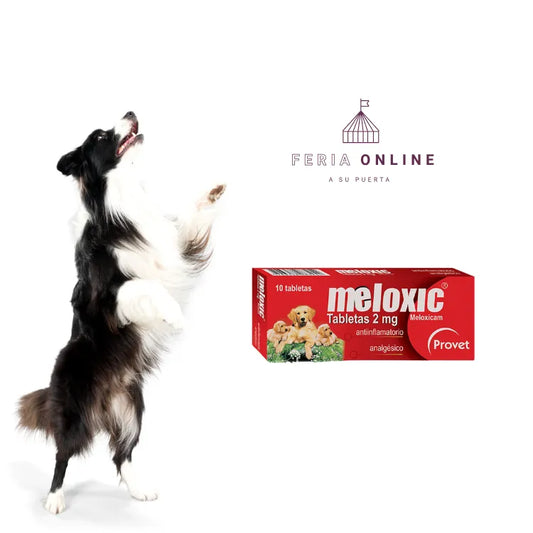Meloxic Tabletas Perros - Antiinflamatorio y Analgésico