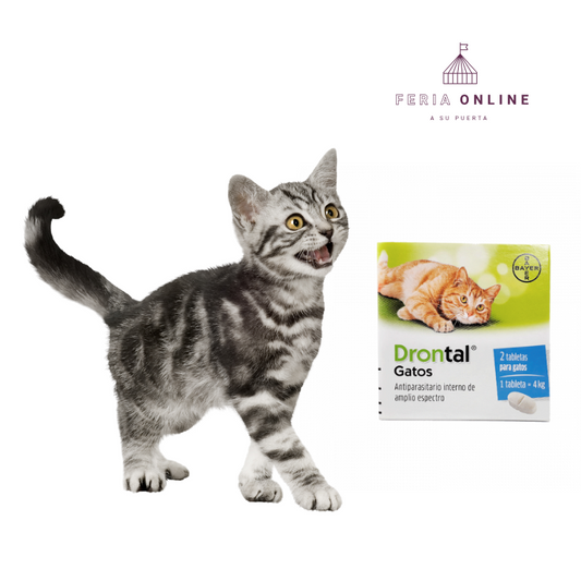 Antiparasitario Interno Drontal Ps Para Gatos En Tabletas