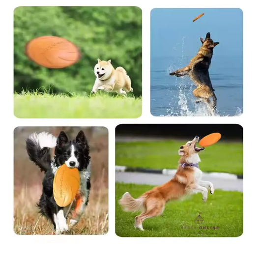 Frisbee Acuático