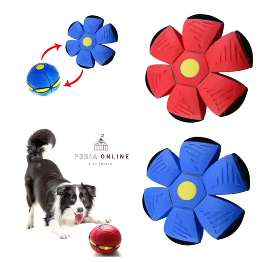 Balon Frisbee