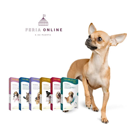 Desparasitante Revolution Selamectina para Perros