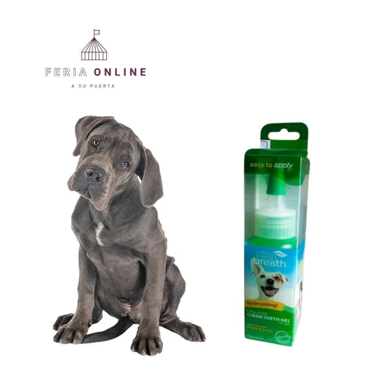 Gel Removedor De Sarro, Cálculo, Placa Sin Cepillado Para Perros y gatos