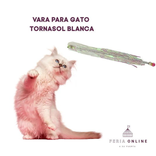 Varas para Gato Tornasol