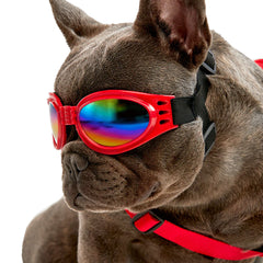 Gafas para Mascotas