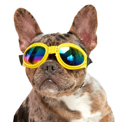 Gafas para Mascotas