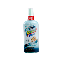 Dental Fresh Original Spray 4OZ