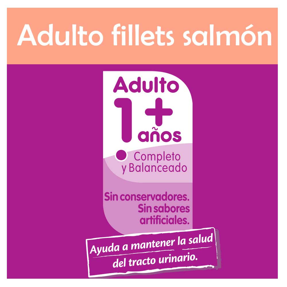 Alimento Húmedo Whiskas Gatos Adultos