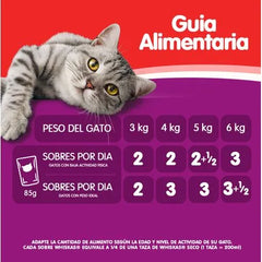 Alimento Húmedo Whiskas Gatos Castrados Carne