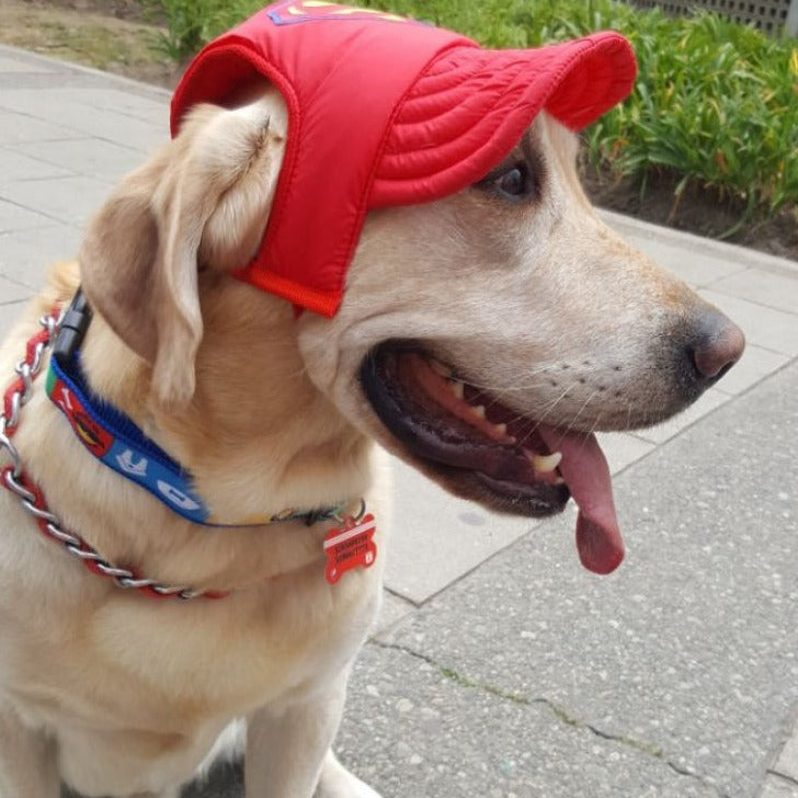 Gorra para Mascotas