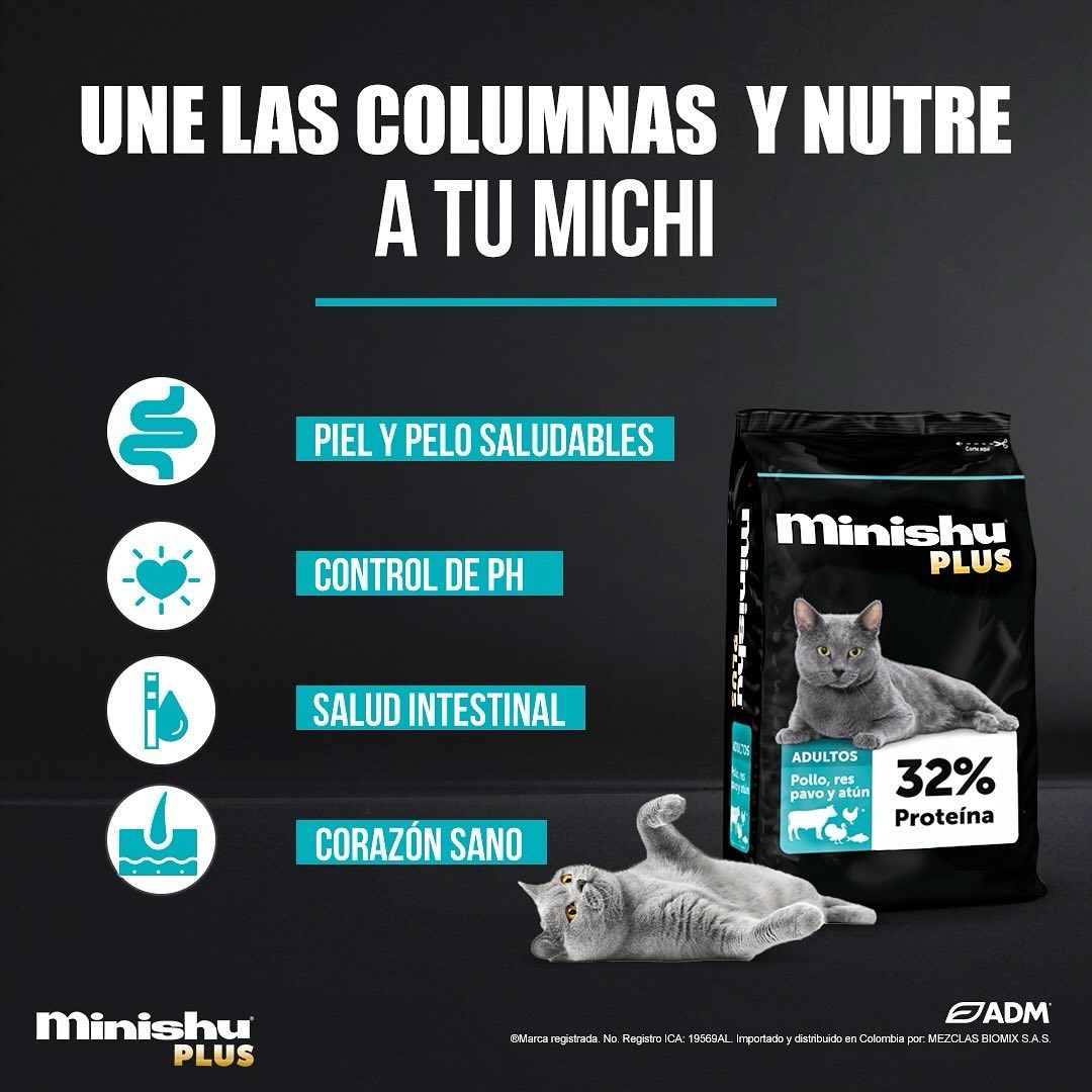 Concentrado Minishu Plus