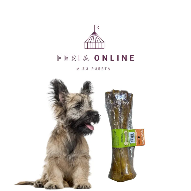 Hueso Pata De Res
